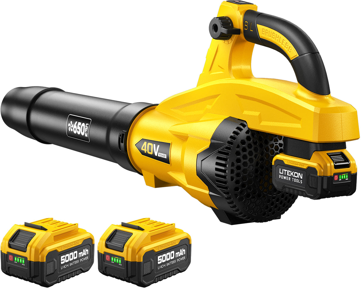 Leaf Blower Cordless, 650CFM & 13 Speed Modes, Brushless Electric Cordless Leaf Blowers with 2 x 5.0Ah Batteries and Charger, 21V Powerful Blowers for Lawn Care, Blowing Leaves, Dust, Snow