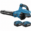 Leaf Blower Cordless, 650CFM & 13 Speed Modes, Brushless Electric Cordless Leaf Blowers with 2 x 5.0Ah Batteries and Charger, 21V Powerful Blowers for Lawn Care, Blowing Leaves, Dust, Blue